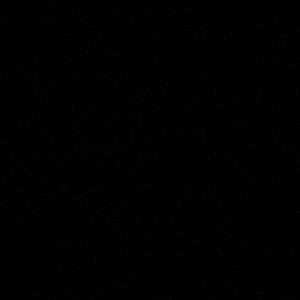 Meet your Posher, Thaddeus